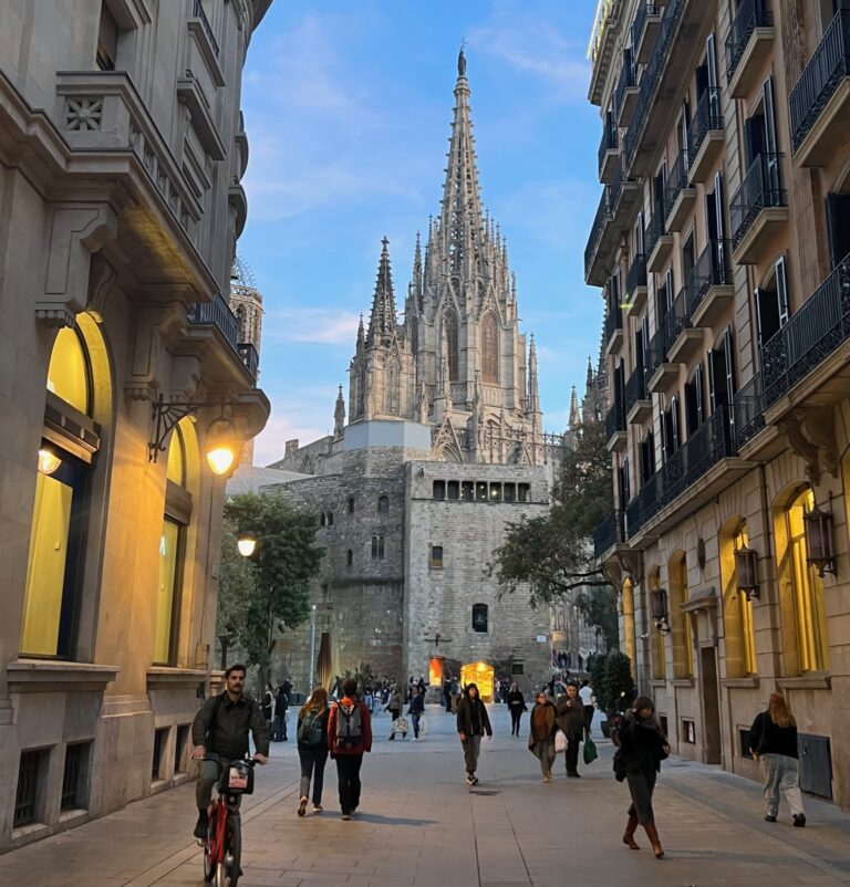 View of Barcelona Cathedral